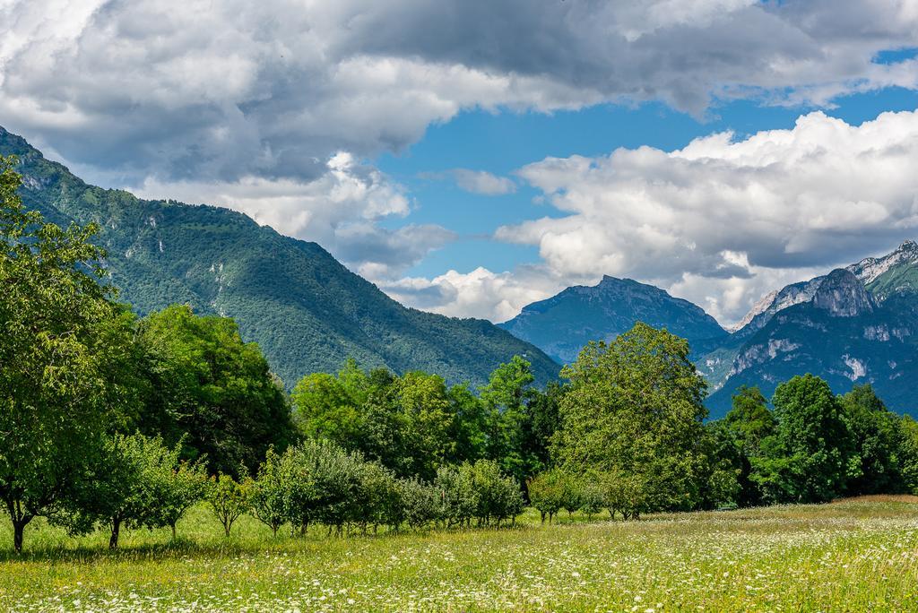 Casa De Bertoldi Belluno